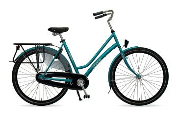 BASIS JERSEY D