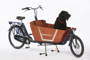 CARGOBIKE CLASSIC DLOUH